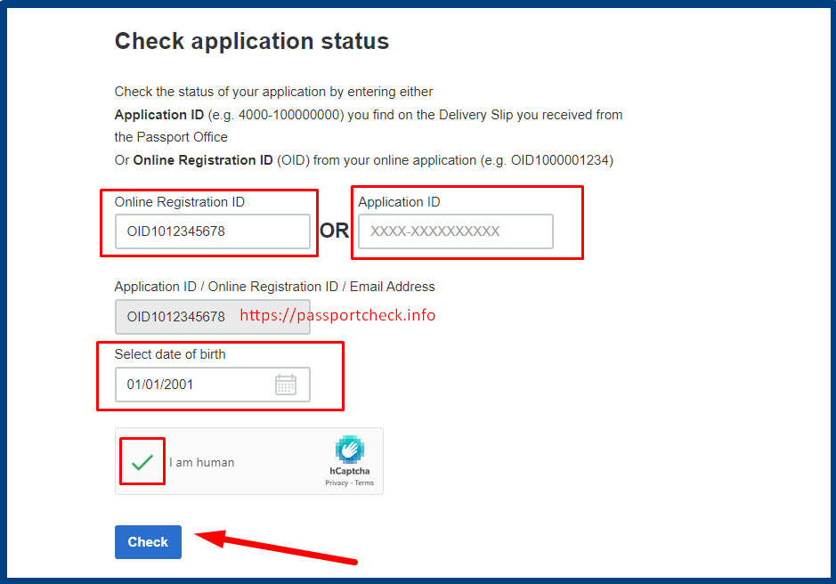 passport check input form